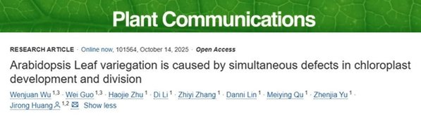 021-64322000 相关文章