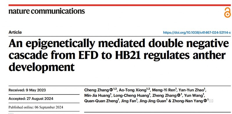 网站管理员发布时间